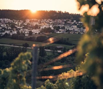Installierte PV Anlagen